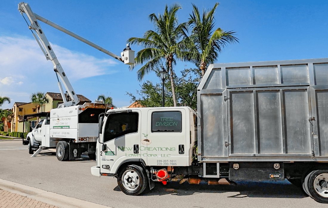 New Creations Lawn Care, LLC Services