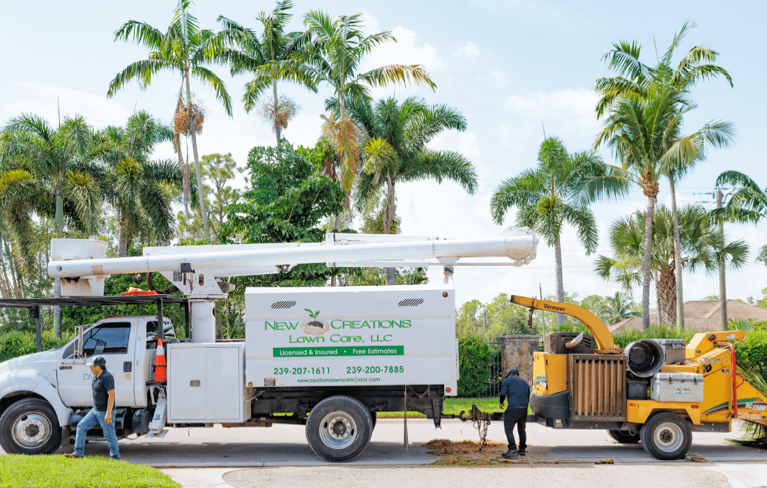 New Creations Lawn Care, LLC Services