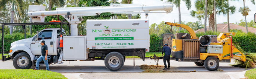 Stump and Tree Removal Services